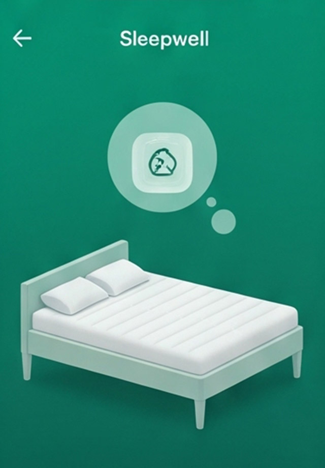 Smart Mattress